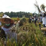 Cuti Berbagi Dompet Dhuafa, Dari Karyawan Jadi Relawan