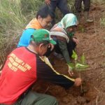 Hari Hutan Sedunia Dompet Dhuafa Jabar-Wanadri Tanam 100 Pohon di Kareumbi