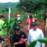 Carevisit Dompet Dhuafa: Wisata Buah Naga dan Pemberdayaan