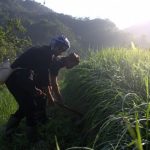 Mengenal Lebih Dekat Desa Adat Kasepuhan Sinar Resmi